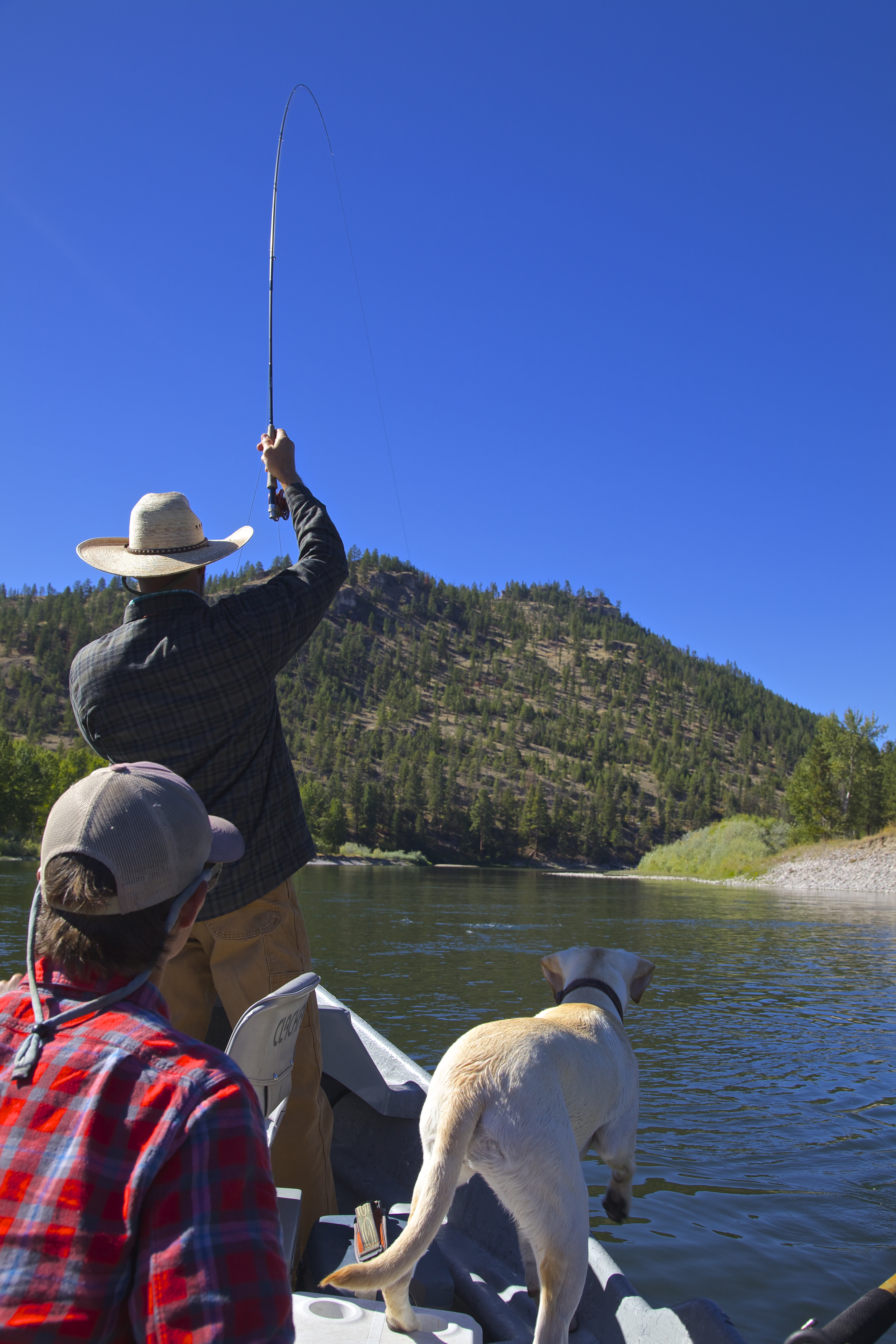 Missoula Guided Fly Fishing